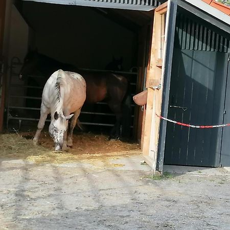 Willa Wild Life Ranch Schöfweg Zewnętrze zdjęcie