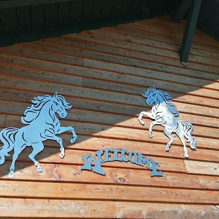 Willa Wild Life Ranch Schöfweg Zewnętrze zdjęcie