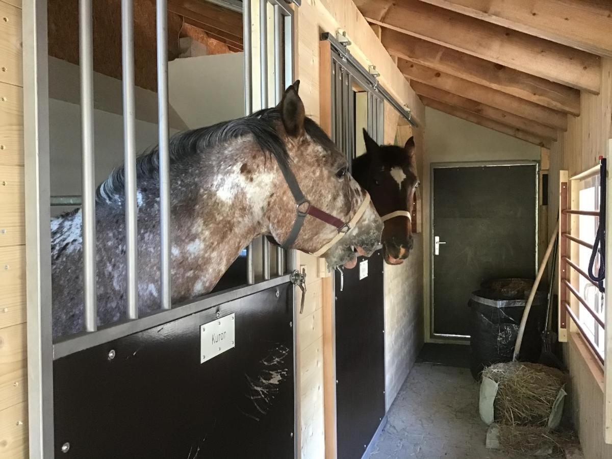 Willa Wild Life Ranch Schöfweg Zewnętrze zdjęcie