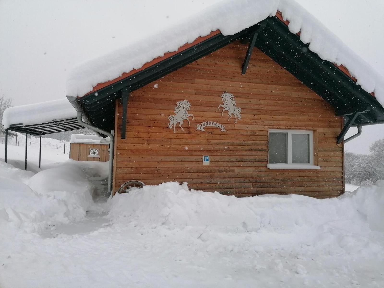 Willa Wild Life Ranch Schöfweg Zewnętrze zdjęcie