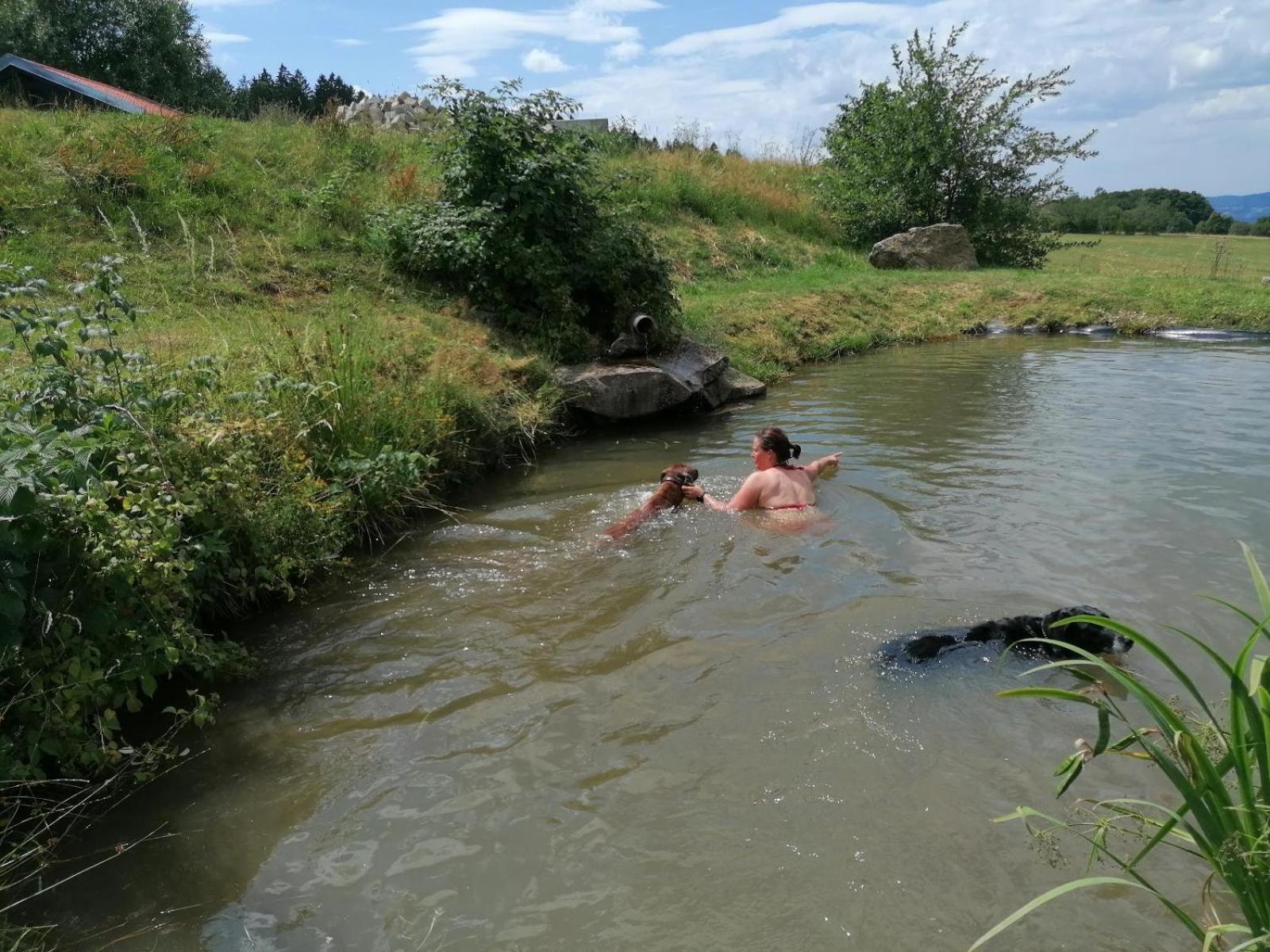 Willa Wild Life Ranch Schöfweg Zewnętrze zdjęcie