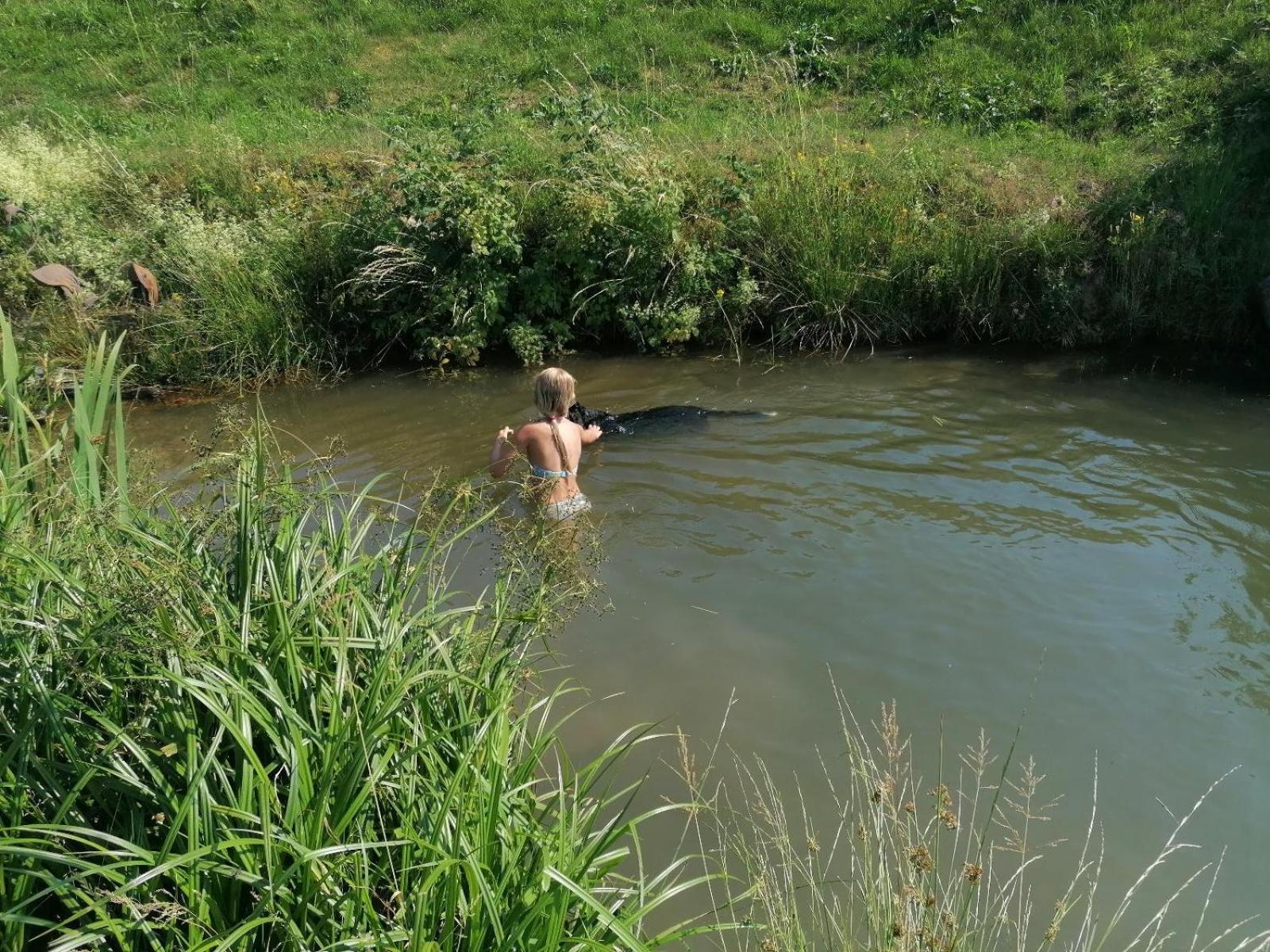 Willa Wild Life Ranch Schöfweg Zewnętrze zdjęcie